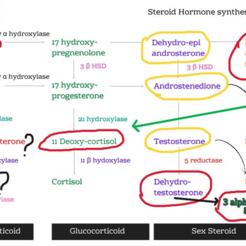 Ekran görüntüsü 2025-12-22 040330