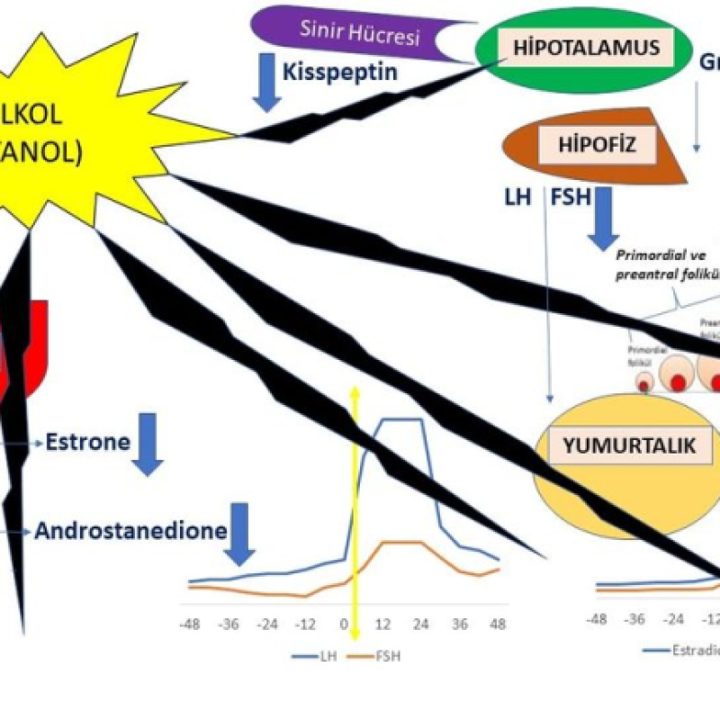 alkol çocuk isteği