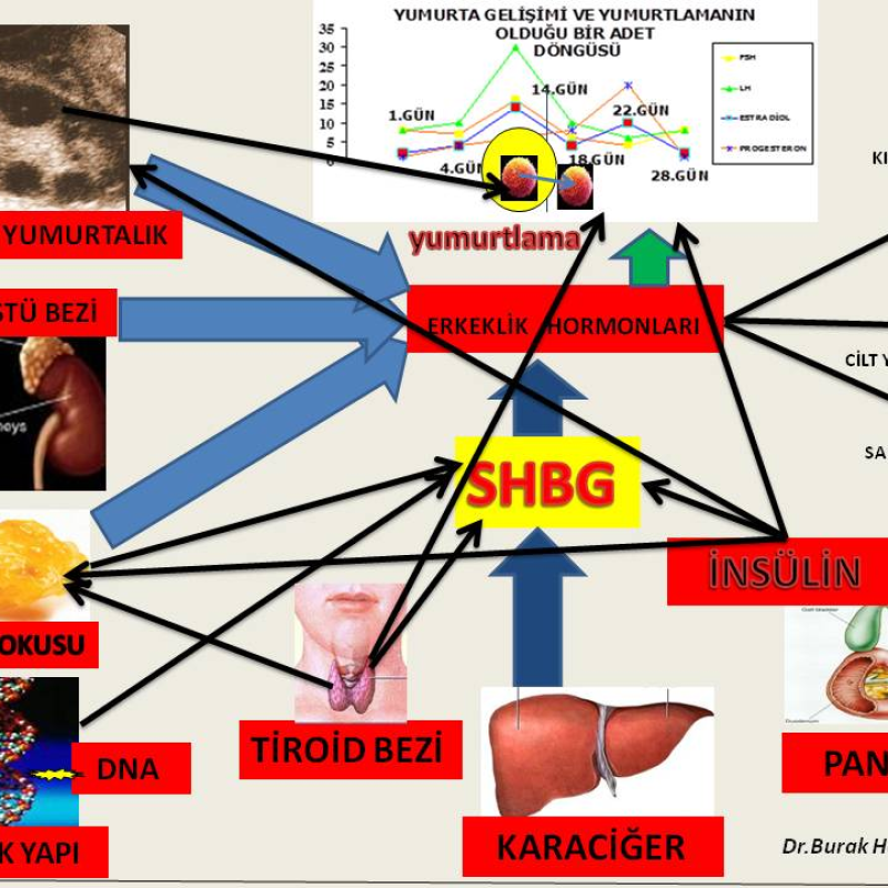 image-67-rcb2xa5cuvsgtr6xgsyio3guuwwgm3wjjeud5ozvpc